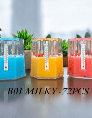 B01MKY - PAPER WEIGHT PEN STAND (72PCS)