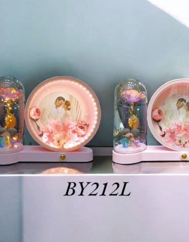 BY212L - PLASTIC FRAME WITH COUPLE (24PCS)