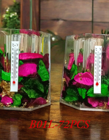 B01L - PAPER WEIGHT PEN HOLDER (72PCS)
